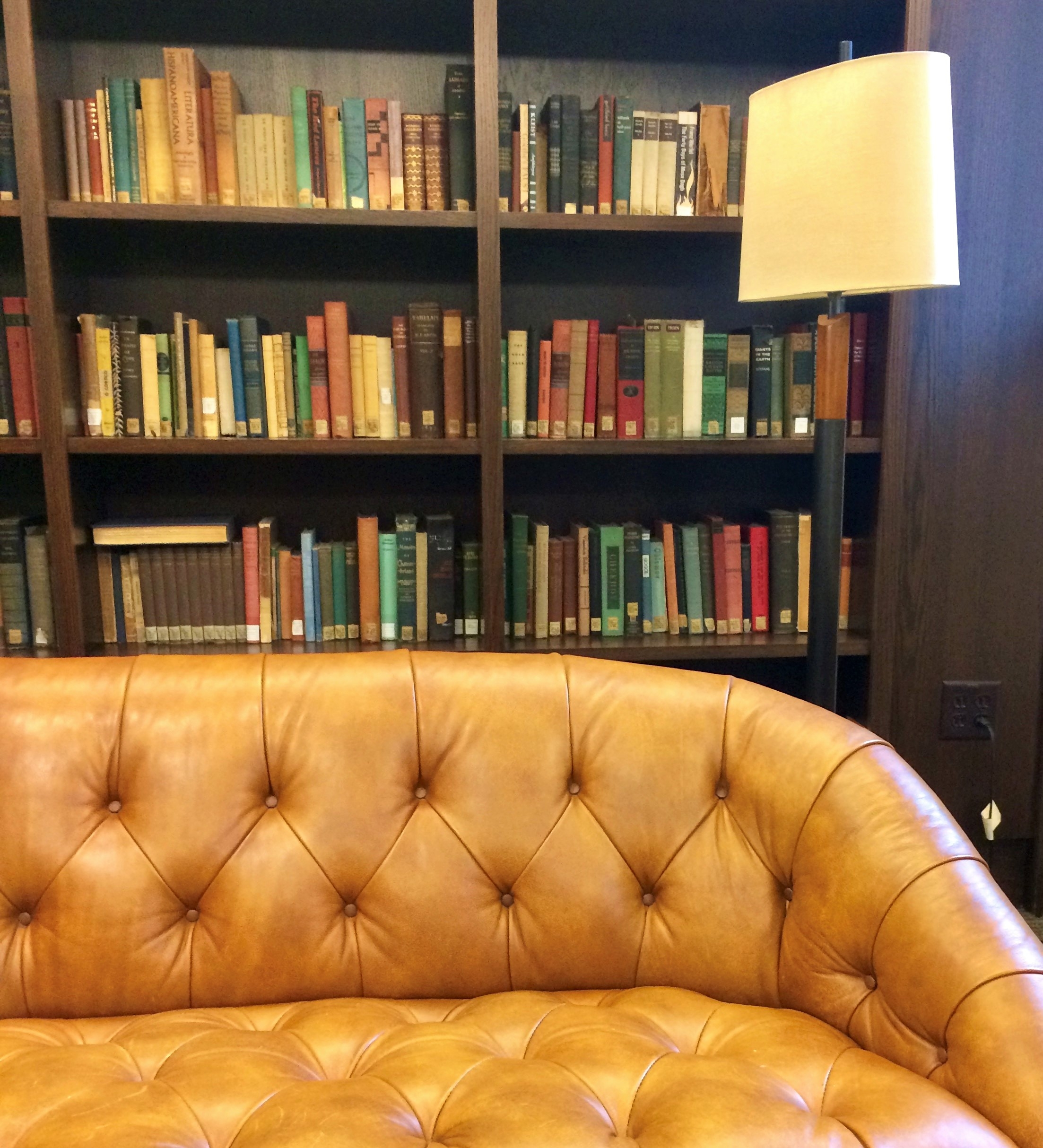 Leather chesterfield sofa beneath a lamp and library shelves